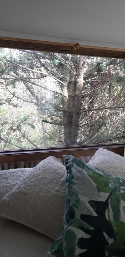 Eco Cabana Puerto Varas Kültér fotó